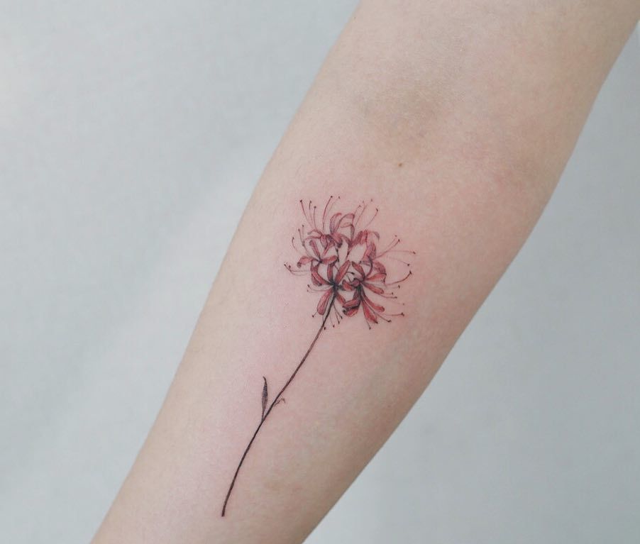 Hình xăm hoa bỉ ngạn ở cánh tay
