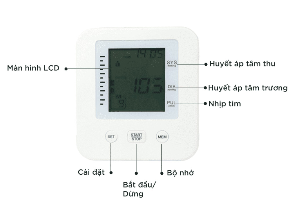 Máy đo huyết áp Kachi MK293