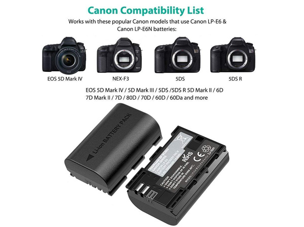 Bộ 2 pin và sạc kép RAVPower RP-BC003 dành cho Canon (LP-E6N)