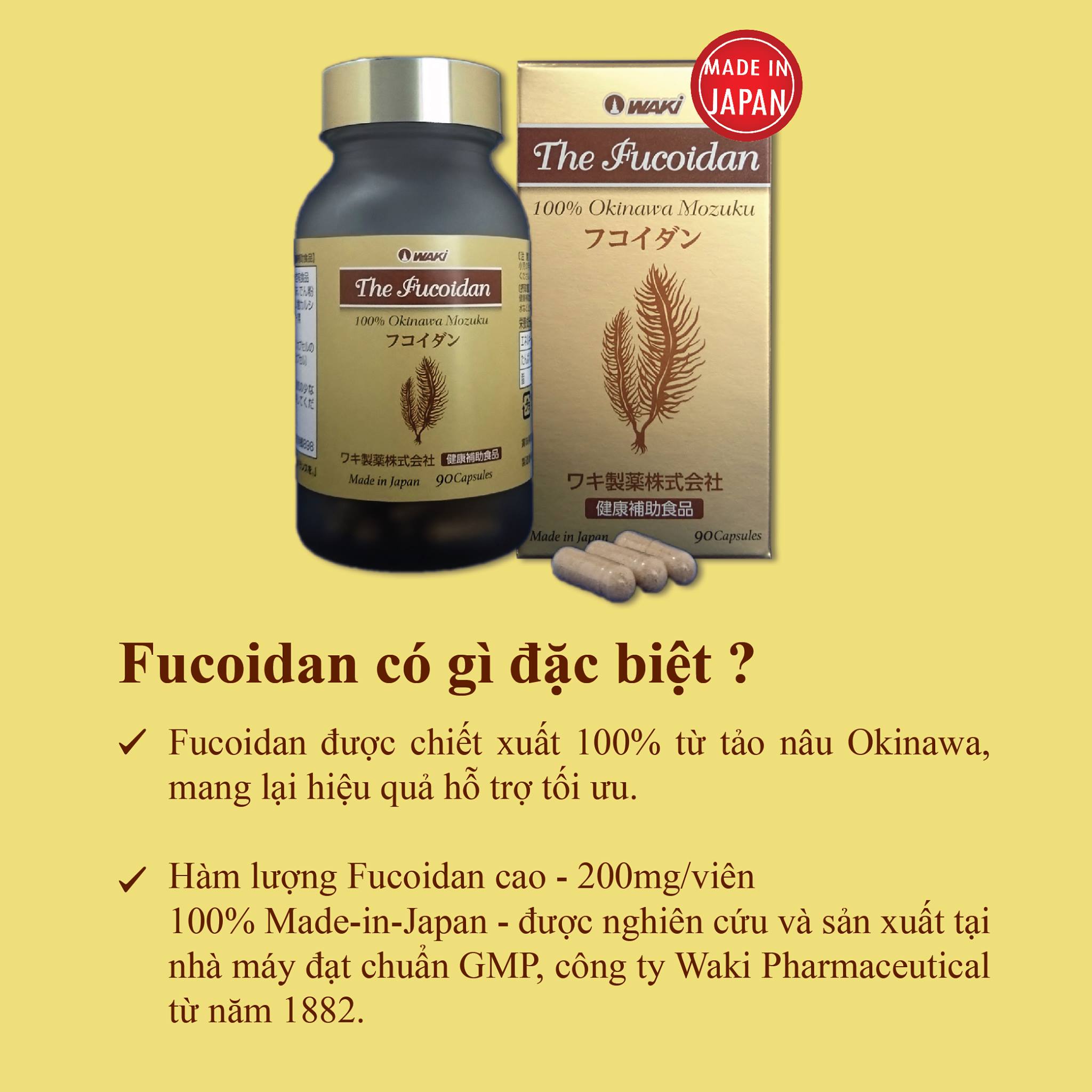 The Fucoidan được sản xuất tại Nhật Bản