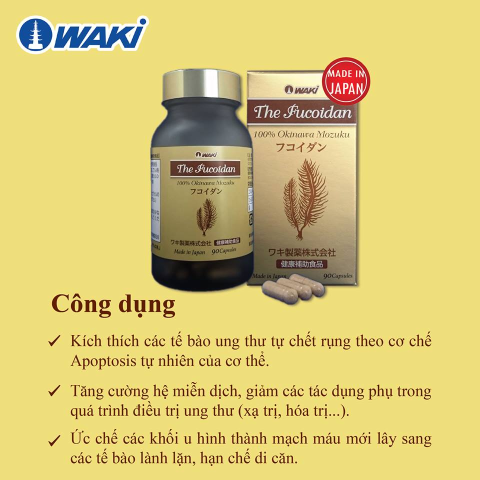 Công dụng của The Fucoidan