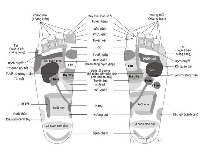 Máy massage chân đa năng Max-648