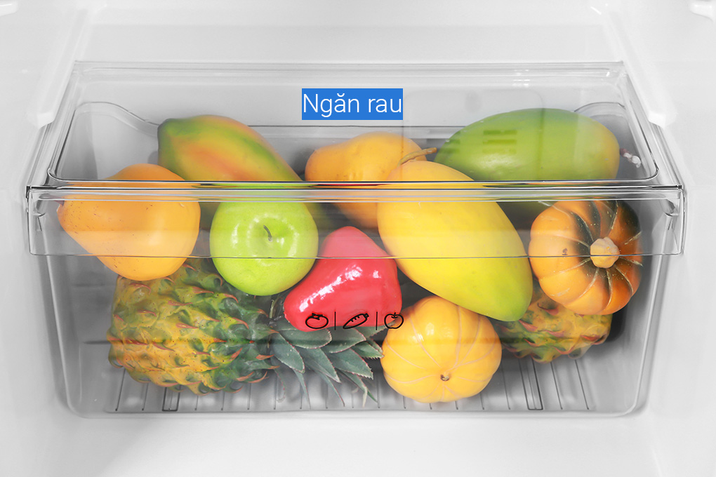 Tủ lạnh Aqua T219FA có ngăn rau củ chuyên dụng