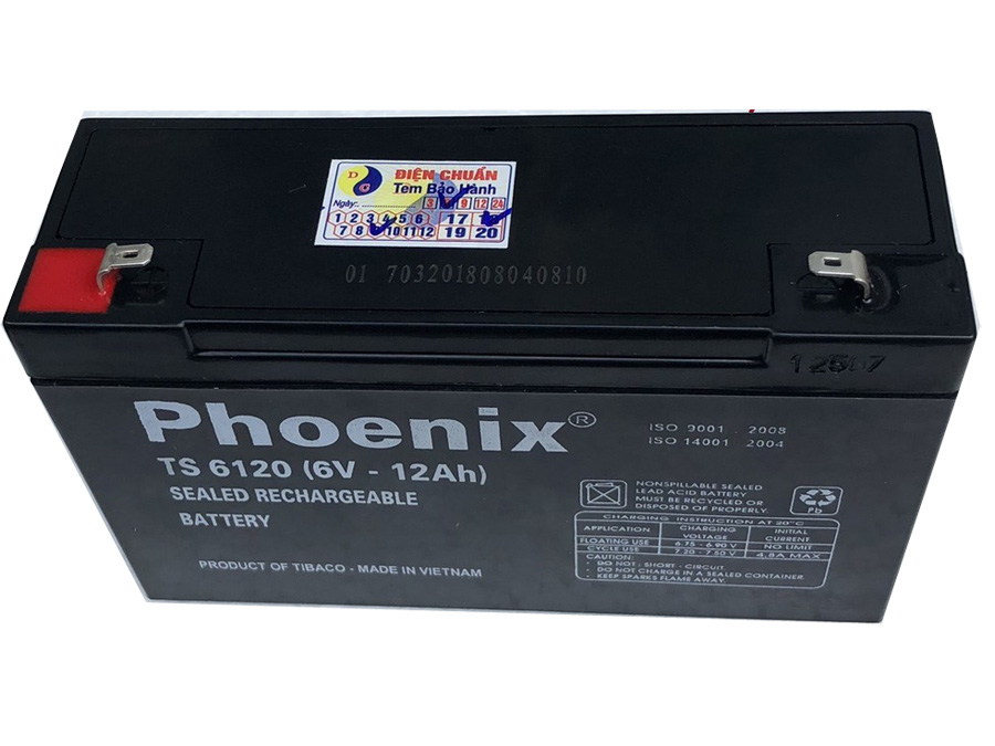 Ắc quy Phoenix 6V 12AH TS6120