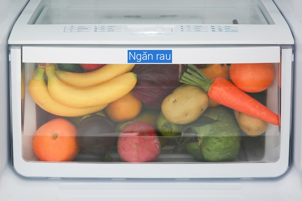 Tủ lạnh có ngăn rau củ