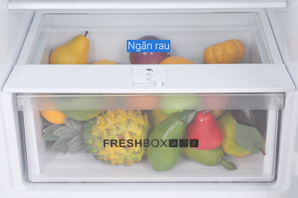 Tủ lạnh Aqua Inverter 