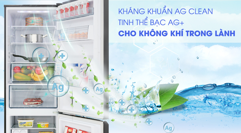 Tủ lạnh Panasonic Inverter 322 lít NR-BC360QKVN ứng dụng công nghệ Ag Clean kháng khuẩn, khử mùi hiệu quả