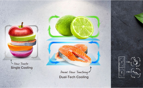 Hai dàn lạnh độc lập cho nhiệt độ bảo quản giữa các thực phẩm khác nhau
