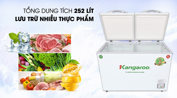 Tủ đông kháng khuẩn 2 ngăn 400 lít Kangaroo KG400NC2