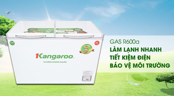 Tủ đông kháng khuẩn Kangaroo KG400NC2