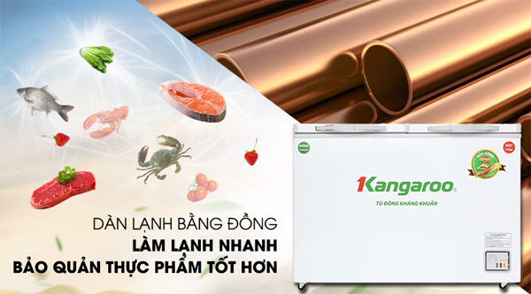 Tủ đông kháng khuẩn 2 ngăn 400 lít Kangaroo KG400NC2