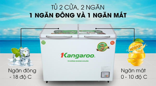 Tủ đông kháng khuẩn Kangaroo KG266NC2 (192 lít)