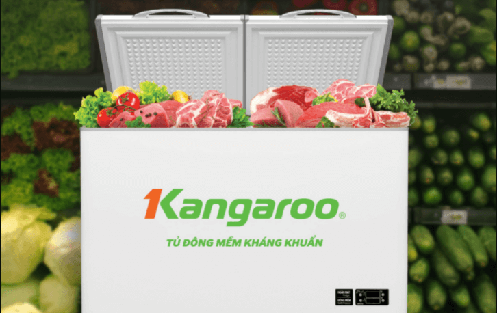 Cách sử dụng tử đông Kangaroo mới mua về