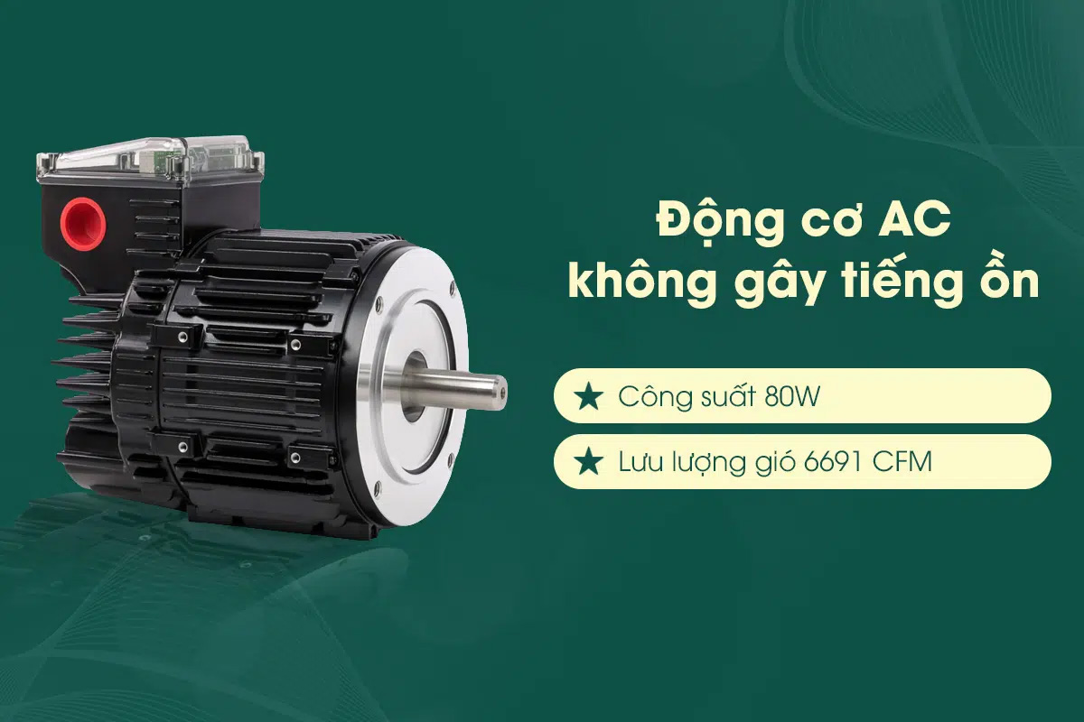 Động cơ khỏe mạnh, chạy êm
