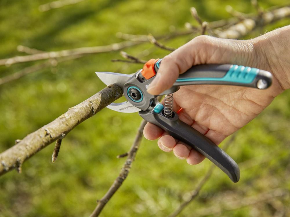 Kéo phù hợp cắt các cành cây có đường kính dưới 22cm Kéo phù hợp cắt các cành cây có đường kính dưới 22cm