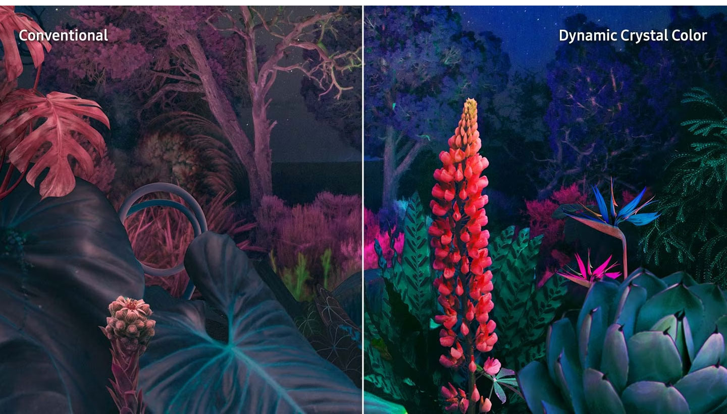 UA50CU8500KXXV cho màu sắc chân thực UA50CU8500KXXV