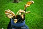 Tìm hiểu về các loại gậy golf