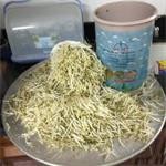 Những câu hỏi thường gặp ở máy làm giá đỗ sạch đa năng GV-102