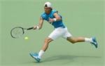 Những mẫu giày tennis nam giá rẻ, được ưa chuộng nhất hiện nay
