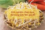 Kinh nghiệm chọn mua và cách sử dụng máy làm giá đỗ, trồng rau mầm