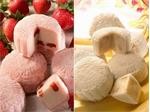 Hướng dẫn làm bánh trung thu trái cây bằng máy xay sinh tố không cần đến lò nướng