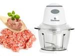 Kinh nghiệm chọn mua máy xay thịt gia đình