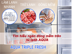 Hướng dẫn sử dụng chức năng cấp đông mềm trên tủ lạnh Aqua