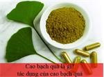 Cao bạch quả là gì, tác dụng của cao bạch quả