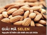 Selen là chất gì? Những tác dụng của Selen với cơ thể