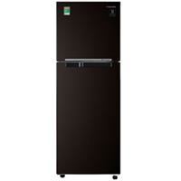 Tủ lạnh Samsung Inverter 236 lít RT22M4032BY/SV (Màu nâu)
