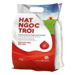 11 loại gạo ngon nhất Việt Nam được nhiều người dùng lựa chọn Gao-hat-ngoc-troi-bac-dau-tui-5kg-400