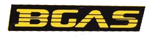 Bgas