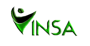 Vinsa