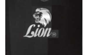 Lion M