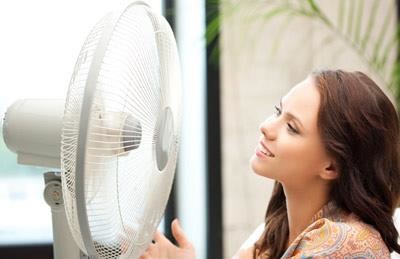 Các sản phẩm quạt bàn, quạt cây rất phù hợp với nhu cầu sử dụng ở những không gian nhỏ hẹp. Các sản phẩm quạt bàn, quạt cây rất phù hợp với nhu cầu sử dụng ở những không gian nhỏ hẹp.