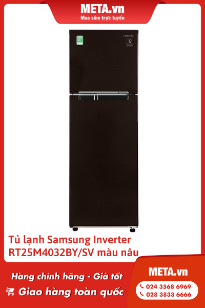 Tủ lạnh 2 cánh Samsung Inverter 256 lít RT25M4032BY/SV