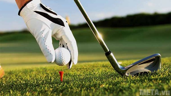 Lựa chọn gậy golf là việc khá khó khăn với những người mới bắt đầu Lựa chọn gậy golf là việc khá khó khăn với những người mới bắt đầu