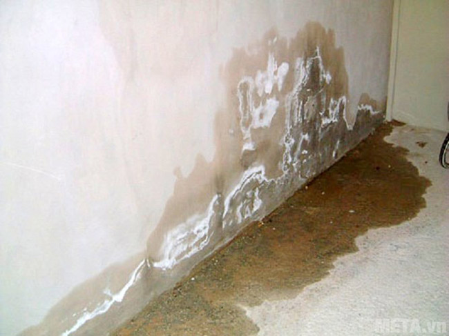 Độ ẩm cao gây cảm giác khó chịu, mệt mỏi cho cơ thể Độ ẩm cao gây cảm giác khó chịu, mệt mỏi cho cơ thể