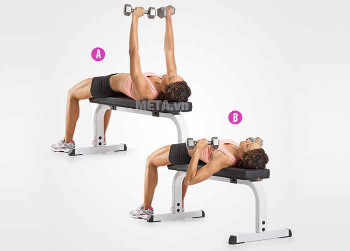 Động tác đẩy tạ tay Động tác đẩy tạ tay
