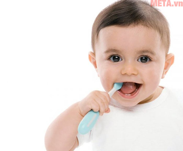Mẹ hãy rèn luyện cho bé thói quen đánh răng từ khi bé mới có những chiếc răng đầu tiên Mẹ hãy rèn luyện cho bé thói quen đánh răng từ khi bé mới có những chiếc răng đầu tiên
