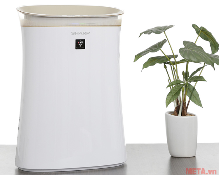 Máy lọc không khí SHARP FP-G50E-W (40m2) Máy lọc không khí SHARP FP-G50E-W (40m2)