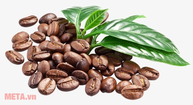 Chọn nguyên liệu Những lưu ý khi xay cà phê hạt