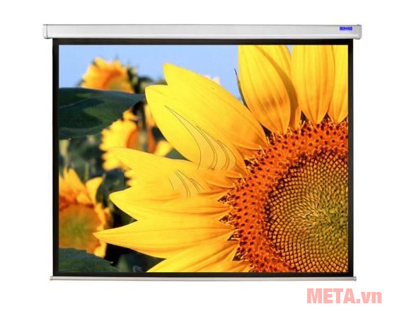 Màn chiếu treo tường Dalite P70WS có kích thước 70 inch Màn chiếu treo tường DaLite P70WS
