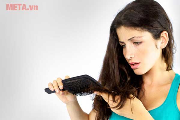Dầu gội trị rụng tóc Dầu gội trị rụng tóc