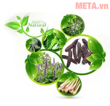 Nên chọn mua dầu gội Thái Dương 3 hay Thái Dương 7? Các thành phần của dầu gội
