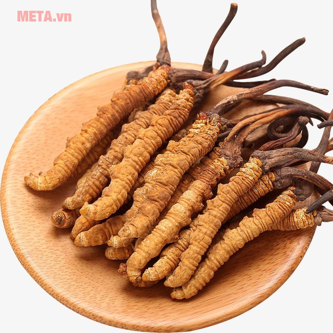 Những mẹo đơn giản trị chứng xuất tinh sớm cho các quý ông Đông trùng hạ thảo