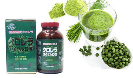 tảo lục tảo lục