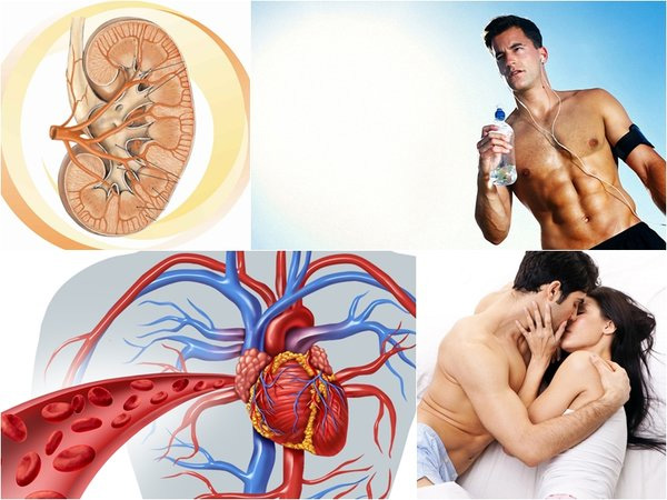 đông trùng hạ thảo đông trùng hạ thảo