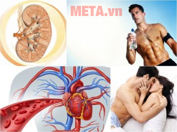 Đông trùng hạ thảo có thật sự tốt cho sức khỏe nam giới? Tốt cho sức khỏe đàn ông