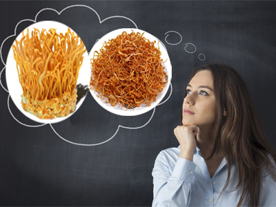 Sự khác biệt giữa đông trùng hạ thảo khô và đông trùng hạ thảo tươi? Nên chọn mua loại nào?